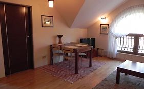 Apartament Brandy Radowid